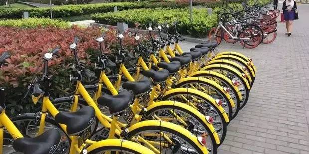 们这个功能可比你们讨论的有意义多了AG真人地址为共享单车互怼的老大(图2) 们这个功能可比你们讨论的有意义多了AG真人地址为共享单车互怼的老大(图2)